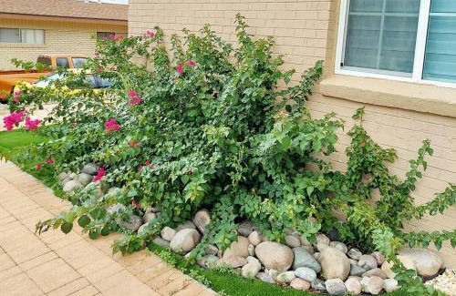 El Paso House | My Cozy Duplex A in the Heart of West Side