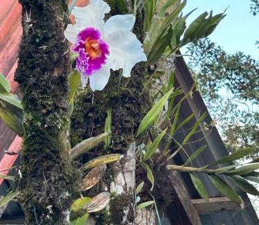 Macas Apartment | MY HOUSE IN MACAS