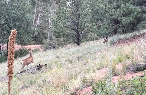 Florissant House | Mydnyt Mountain - The Retreat