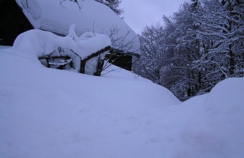 Korenov House | Na Sluneční Pohádková chaloupka ve Sladké díře