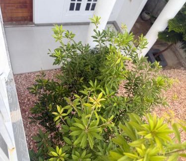 Millennium City Zone Heartland Villa | Naadee Villa