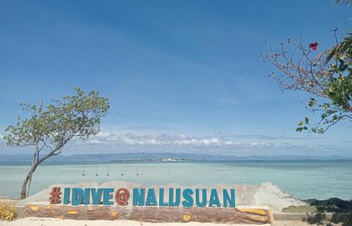 Central Visayas Resort | Nalusuan Island Resort and Marine Sanctuary