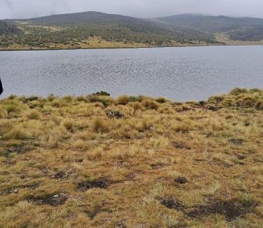 Chuka House | Nancy's Farm House