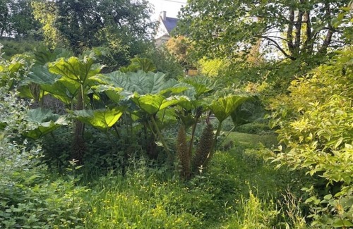 Ploeuc-l'Hermitage Cottage | Nanou - Gîte in the heart of nature