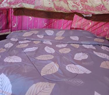 Phrao Other | Napahong forest camp