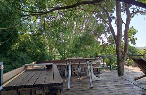 Phrao Other | Napahong forest camp