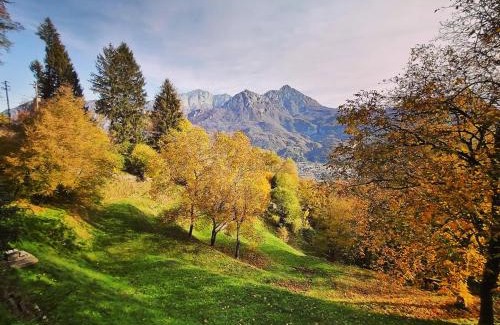 Osigo Bed & Breakfast | Narciso B&B Valbrona