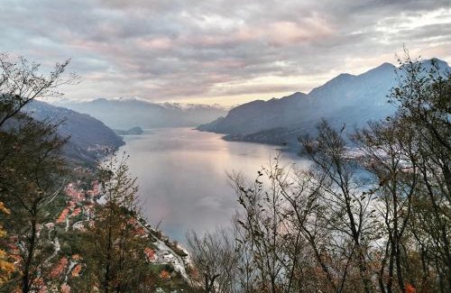 Osigo Bed & Breakfast | Narciso B&B Valbrona