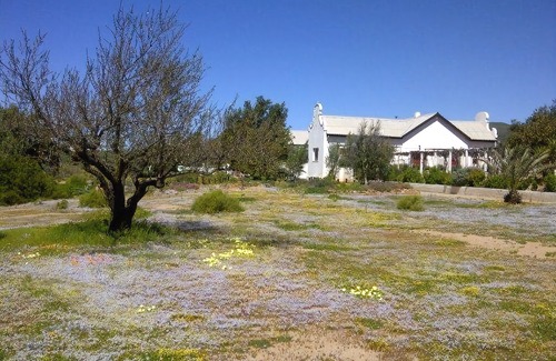 Springbok Hotel | Naries Namakwa Retreat