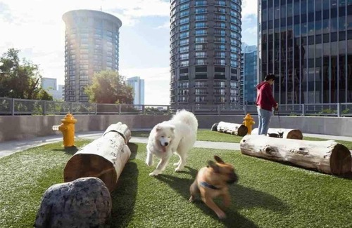 The Gulch Apartment | Nashville Luxe Apartment City Views & Pool