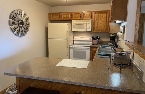 Wildernest Condo | National forest, nature's embrace w/easy access carport & elevator ride!