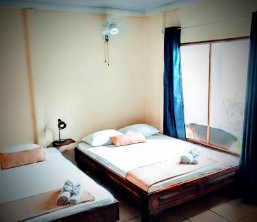 Tortuguero House | Natural House