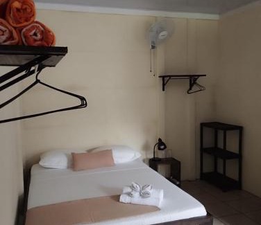 Tortuguero House | Natural House