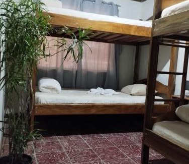 Monteverde House | Nature house