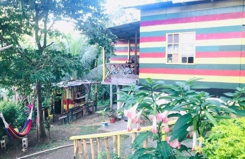Port Antonio Apartment | Nature in portland Eco Villas