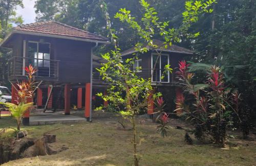 Roura Cabin | Nature lodge