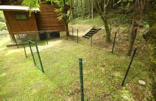 Nakatosa-cho Other | Nature Resort in Shimanto