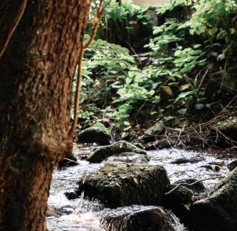 Andlau House | Nature stay in Alsace between stream and vineyard