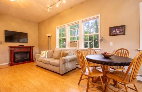 Otego Apartment | Near Cooperstown Allstar Village, Charming 1-bedroom apartment with AC, WiFi