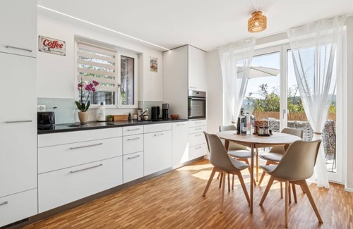 Brugg Apartment | near old town I terrace lounge and car park