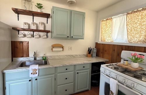 Gladwin Cabin | Neffies Lakefront Charming 2-bedroom cabin in lovely Gladwin with AC, WiFi