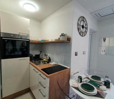 Negotin Apartment | Negotin Centar Apartment with Parking