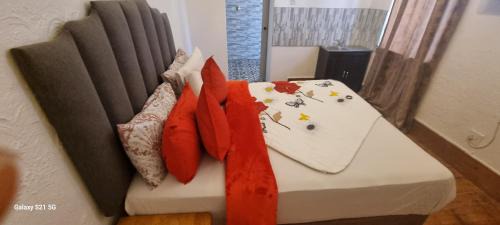 Eikenbosch Apartment | Neo & Ruks Guest House Boston Belleville 9