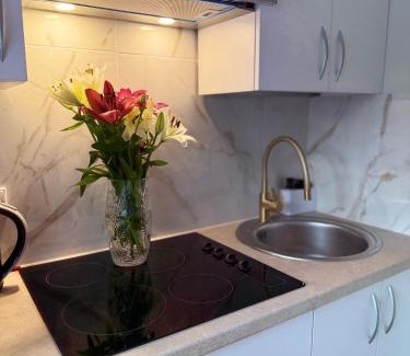 Druskininkai Apartment | NESTAa