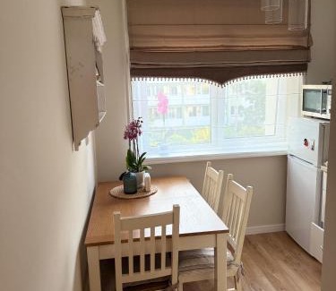 Druskininkai Apartment | NESTAa