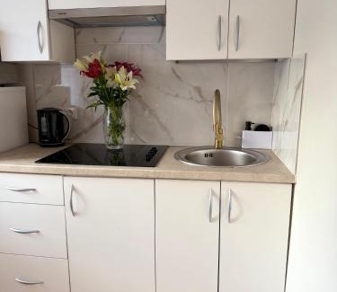 Druskininkai Apartment | NESTAa