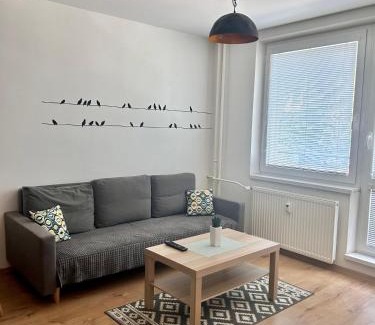Banska Bystrica Apartment | Netflix & WiFi FREE Dvojizbový byt blízko centra - 24h self check-in