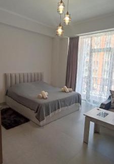 Tsaghkadzor Apartment | New Alvina