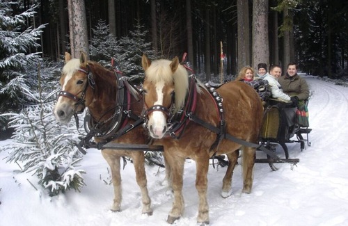 Bergen House | "New Barn" Comfortable holiday residence