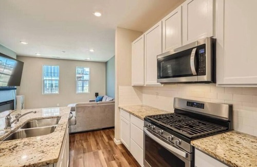 Erie House | New Build 3 BDR Erie Townhome