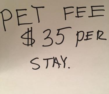 Custer House | New cabin 1 car rental available