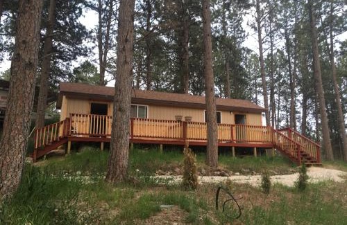 Custer House | New cabin 1 car rental available
