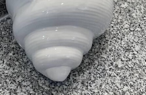 Logan Apartment | New college housing experience