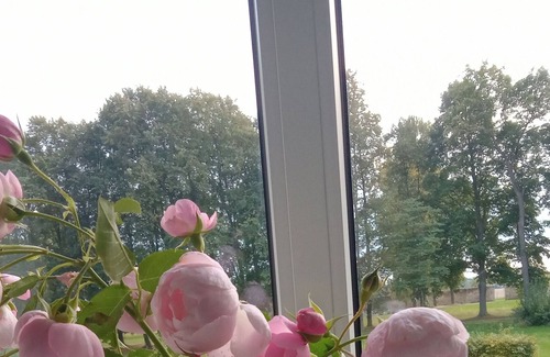 Rackelwitz House | New holiday accommodation in the Kavaliershaus