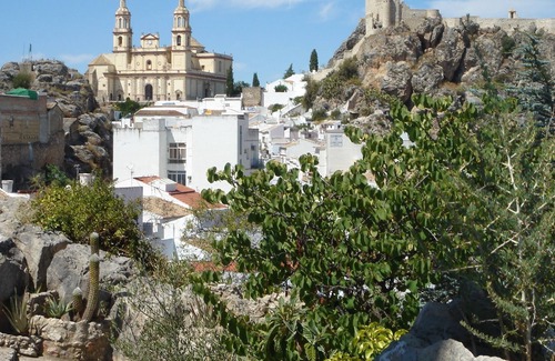 Olvera House | New Listing! Stunning 360° views, Rooftop Terrace, perfect for Nature Lovers!