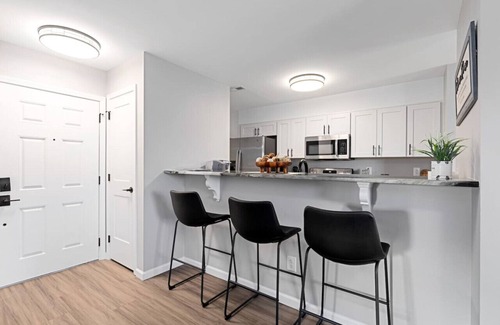 Terry Sanford Apartment | New LUXE Spacious 3BR Downtown Fay Unit C