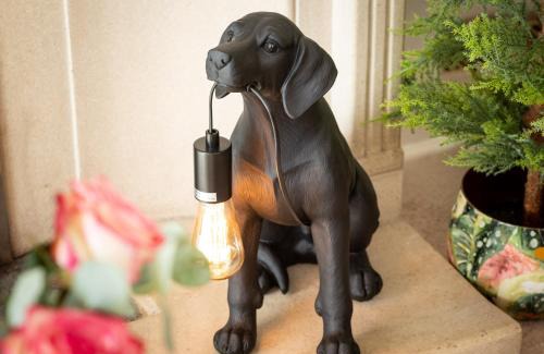 Exmouth House | NEW Luxury Beachfront House sleeps 8 Exmouth Devon