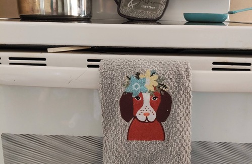 Picayune House | New Orleans/Slidell/Gulf Port/Bay St Louis/Biloxi/AC, WiFi