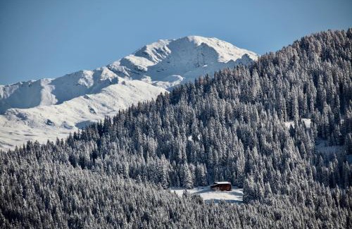 Davos-Platz Apartment | New renovated apartment in center of Davos