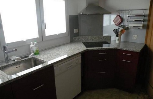 Wildhaus House | New Sigerst, House