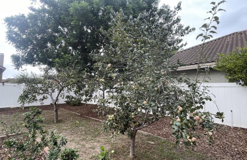 Oxnard House | Newly remodeled large family house