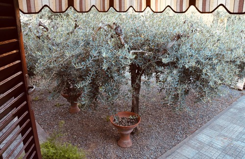 Pieve a Nievole House | Newly renovated detached house