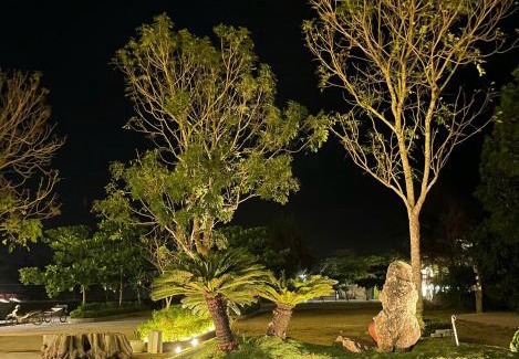 Quynh Luu Hotel | Nghỉ Dưỡng Sao Biển Quỳnh