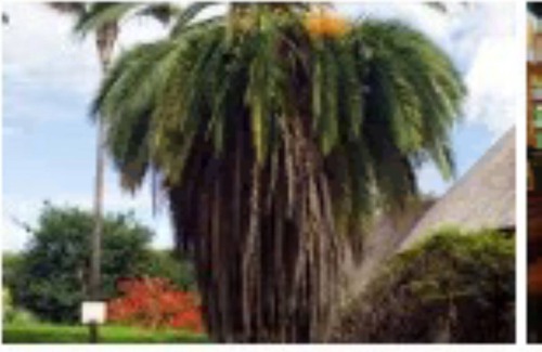 Harare East House | Ngwarati One bedroom one bathroom