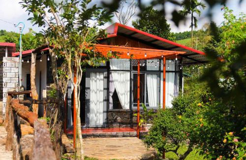 Bao Loc House | Nhà của bông và gạo