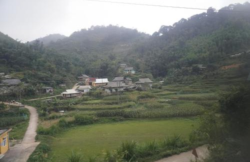 Thuy Khue House | Nhà của Bắp